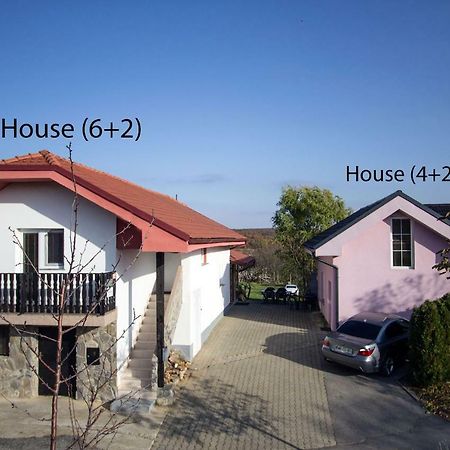 Holiday Home Janko Bogojina エクステリア 写真
